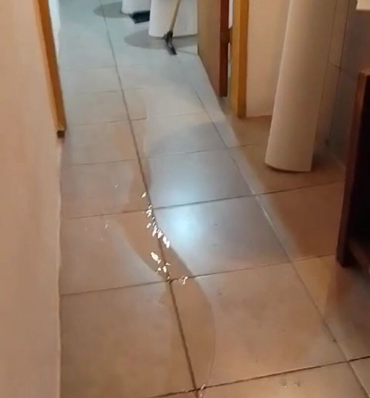 Cabañas El Algodonal主图