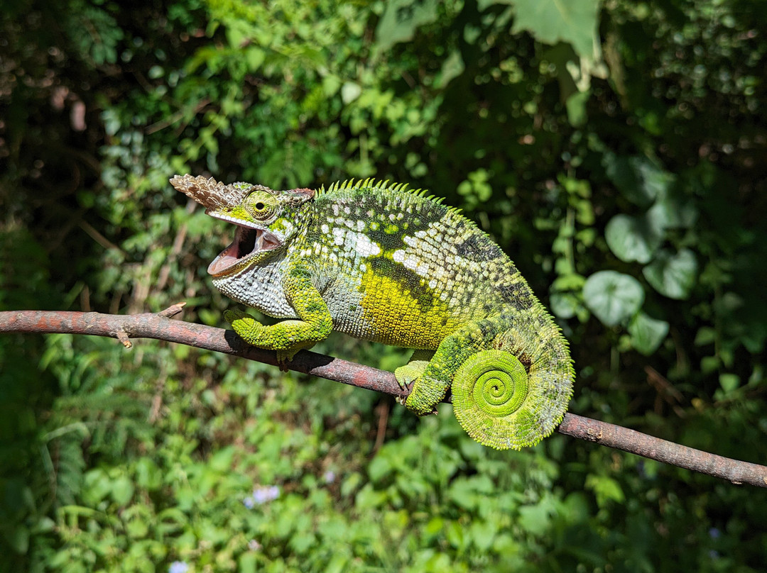 Irente Farm Lodge & Biodiversity Reserve主图