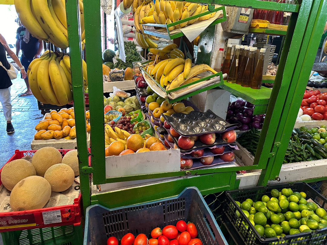 Carelsy Private Tours & Properties-印坦巴/芝华塔尼欧必去景点