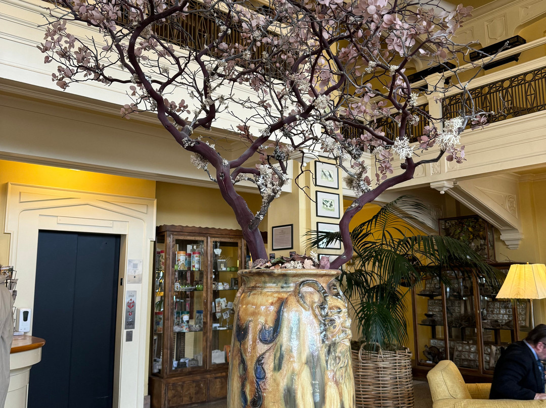 Ashland Springs Hotel主图