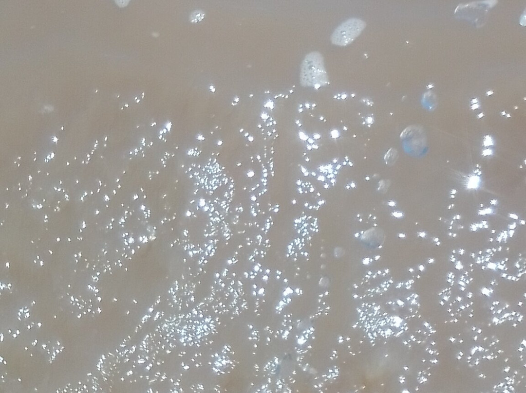 Lake Chilwa-Kachulu必去景点