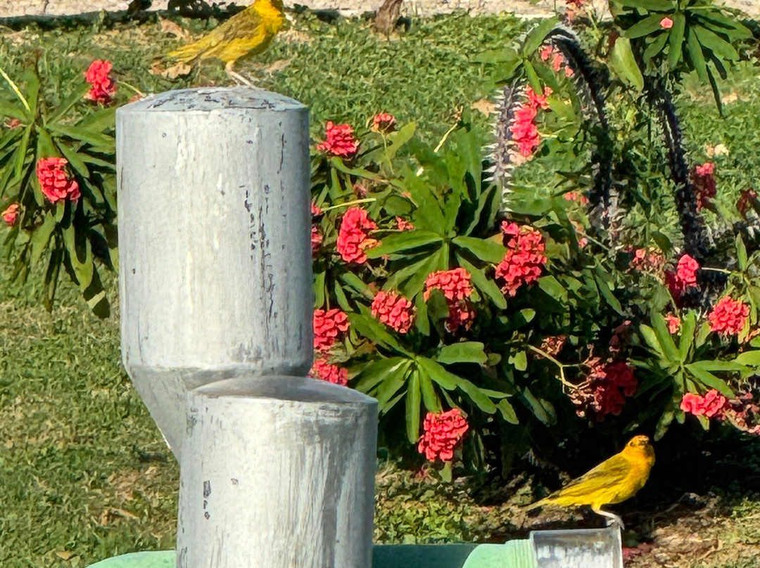 Vapor do Vinho-Juazeiro必去景点