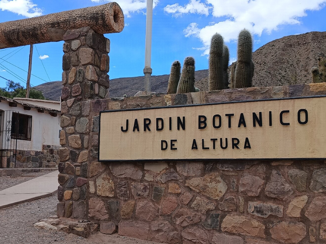 Jardin Botanico de Altura-蒂尔卡拉必去景点