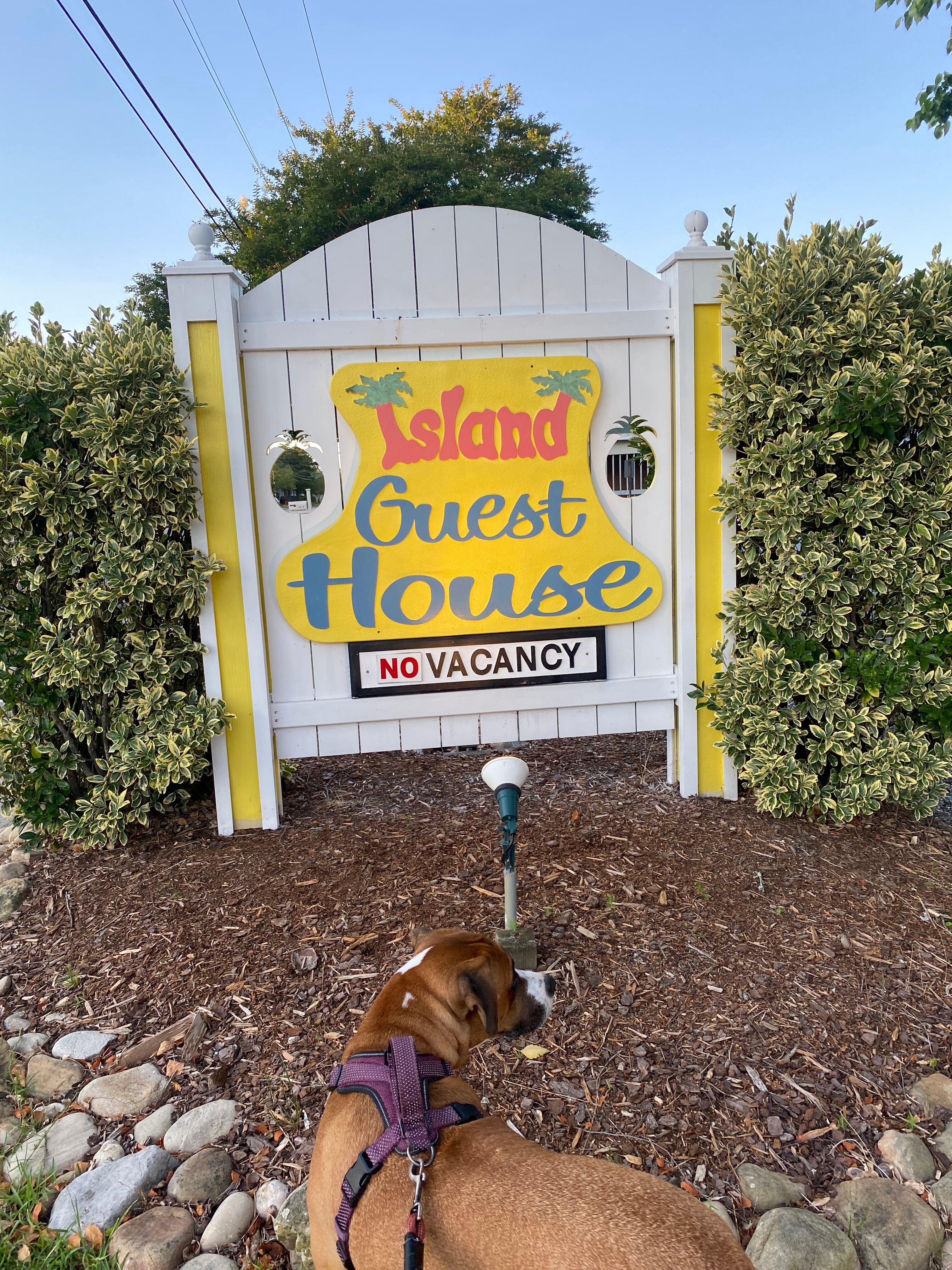 The Island Guesthouse and Motel-浴室