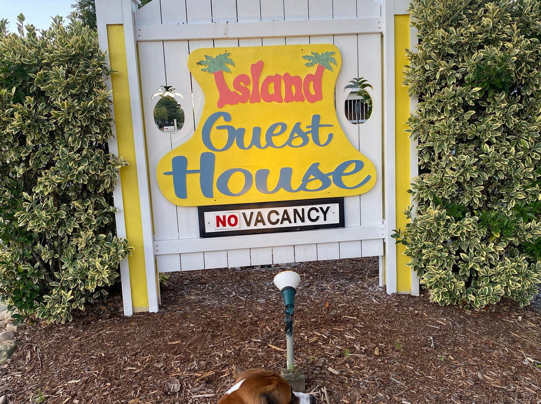 The Island Guesthouse and Motel主图