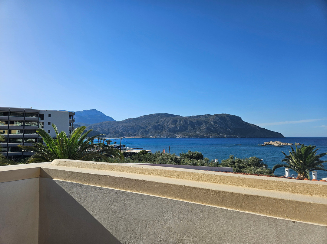 Electra Beach Hotel主图