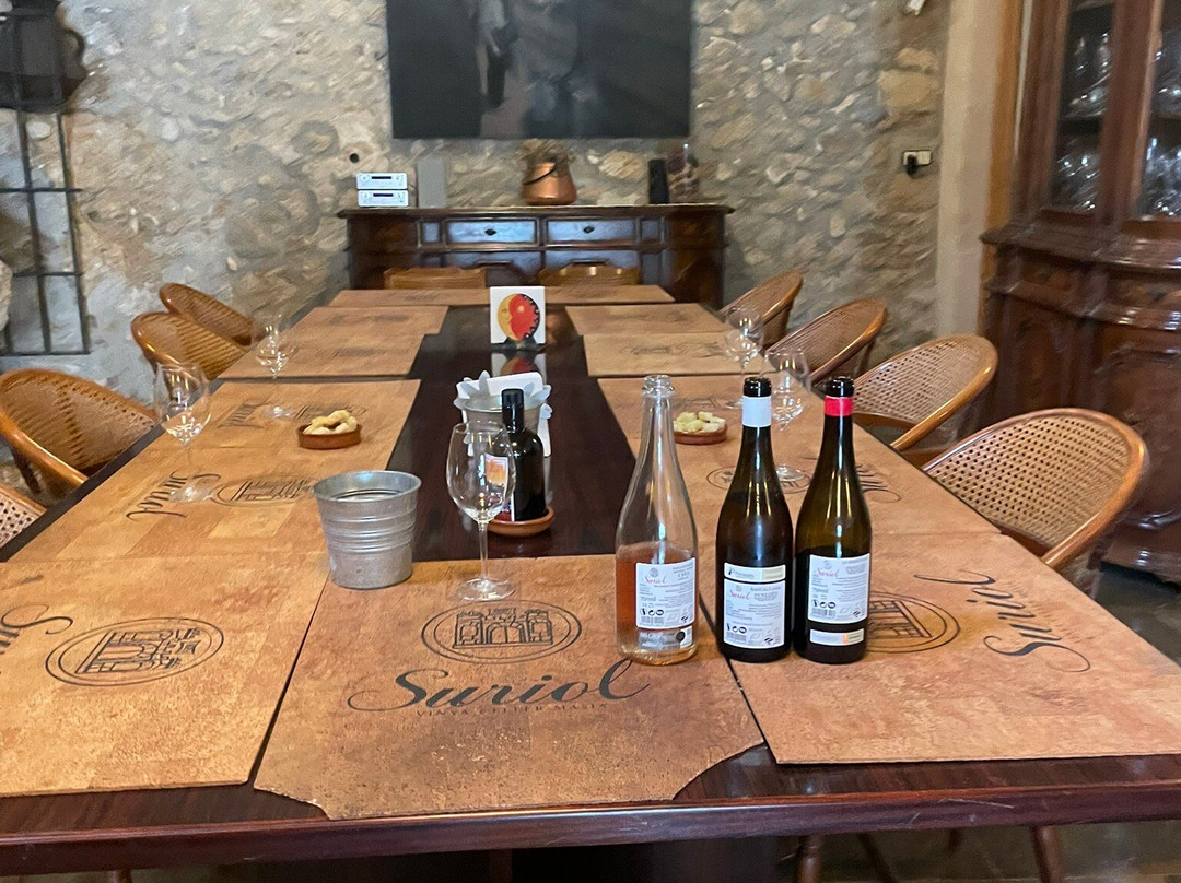 Penedes Ecotours-比拉夫兰卡德尔佩内德斯必去景点