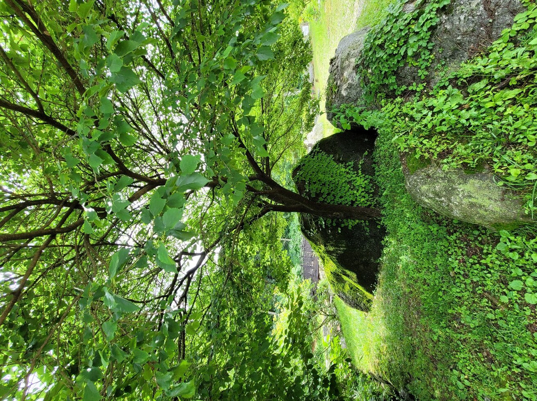 Gyeonggi-do Jatyanggi Purunsup-加平郡必去景点