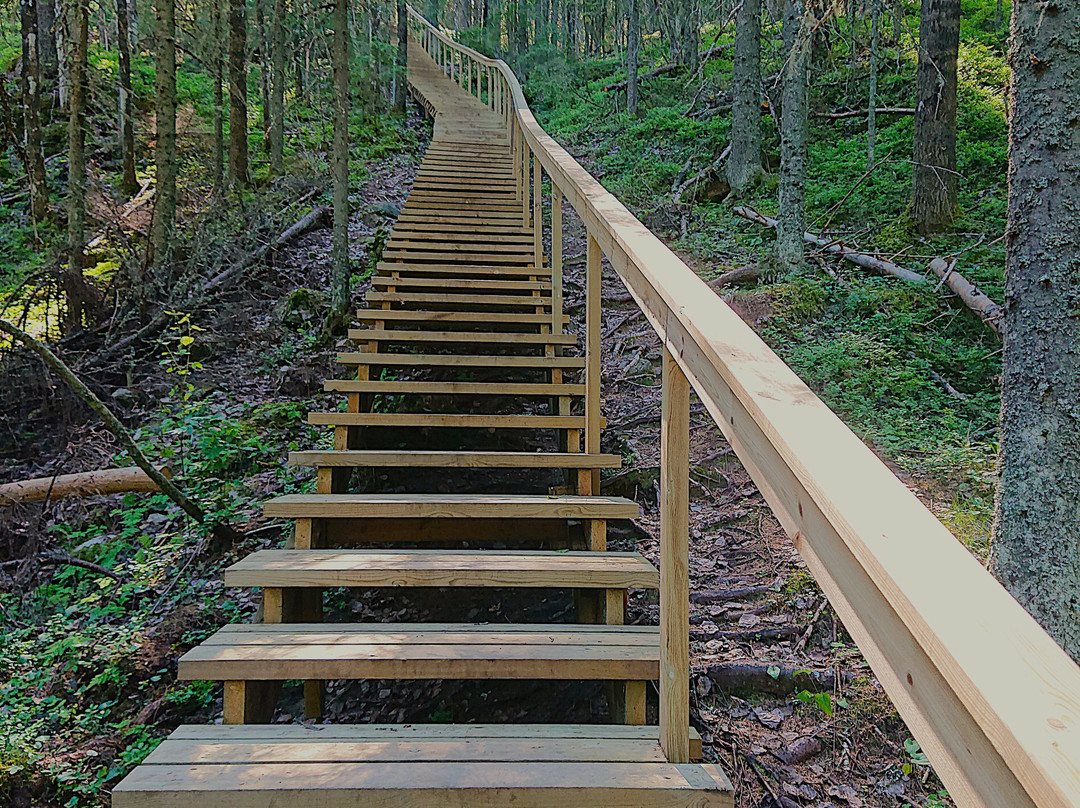 Vanuvuori Nature Trail And Observation Tower-库奥皮奥必去景点