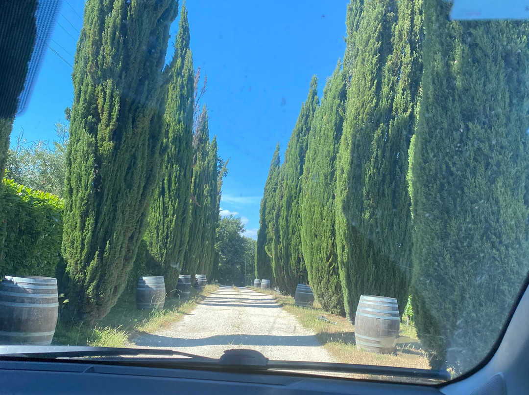 Tenuta La Pazzaglia-维泰博必去景点