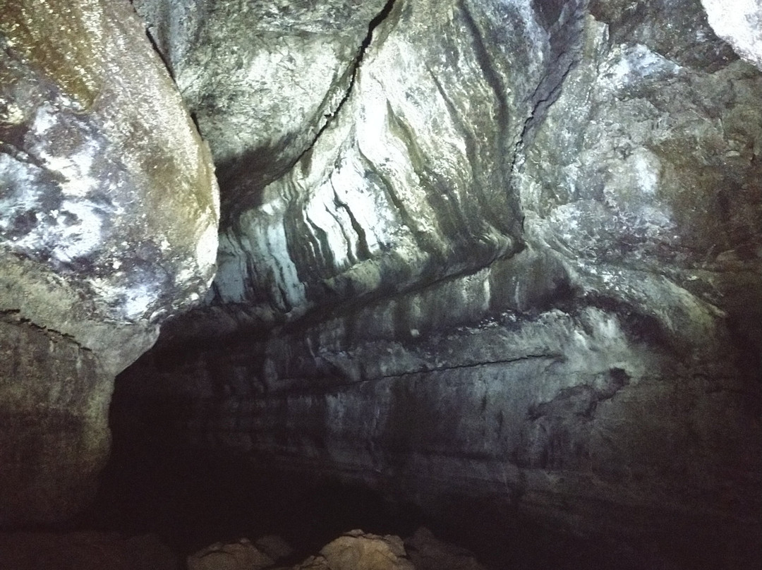 Ape Cave Lava Tubes景点图片