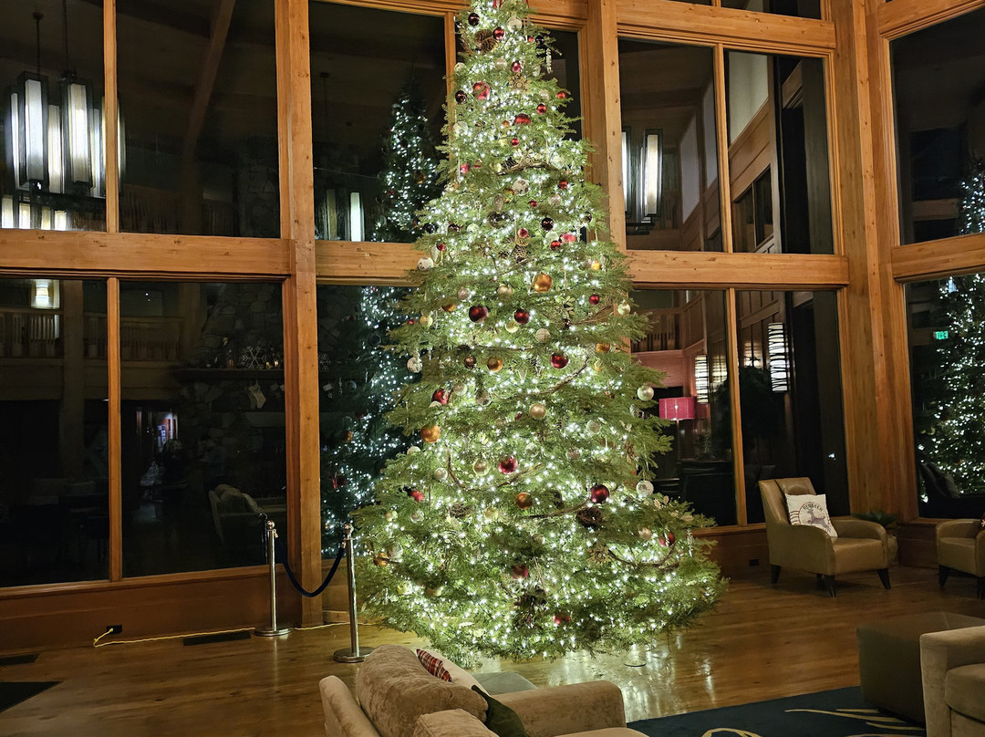 斯卡马尼亚旅馆主图