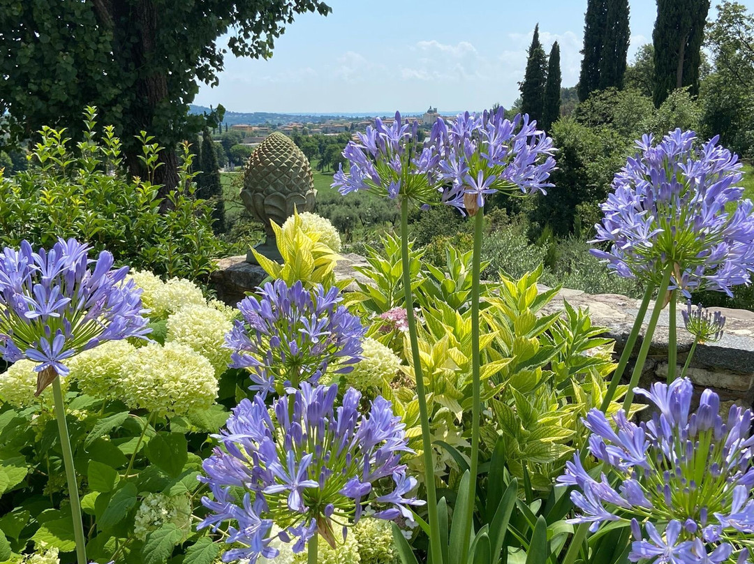 Villa Mario Resort主图