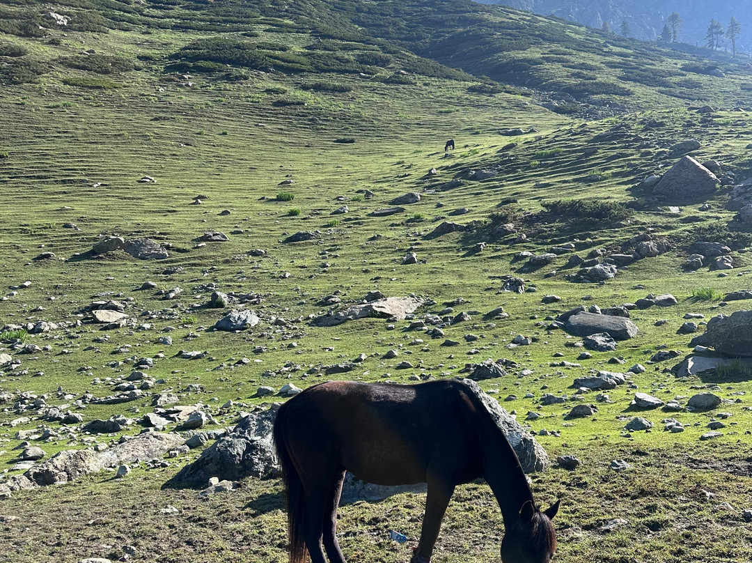 Madventure Treks and Tours景点图片