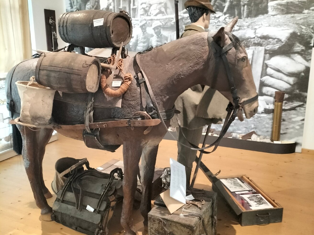 Museo La Zona Carnia nella Grande Guerra 1915-1918景点图片