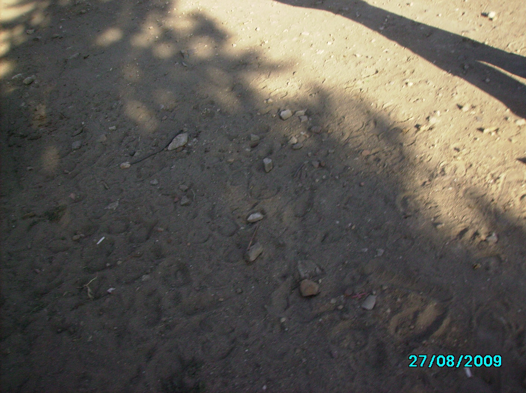 Eski Türk Mezarlığı-Enez必去景点