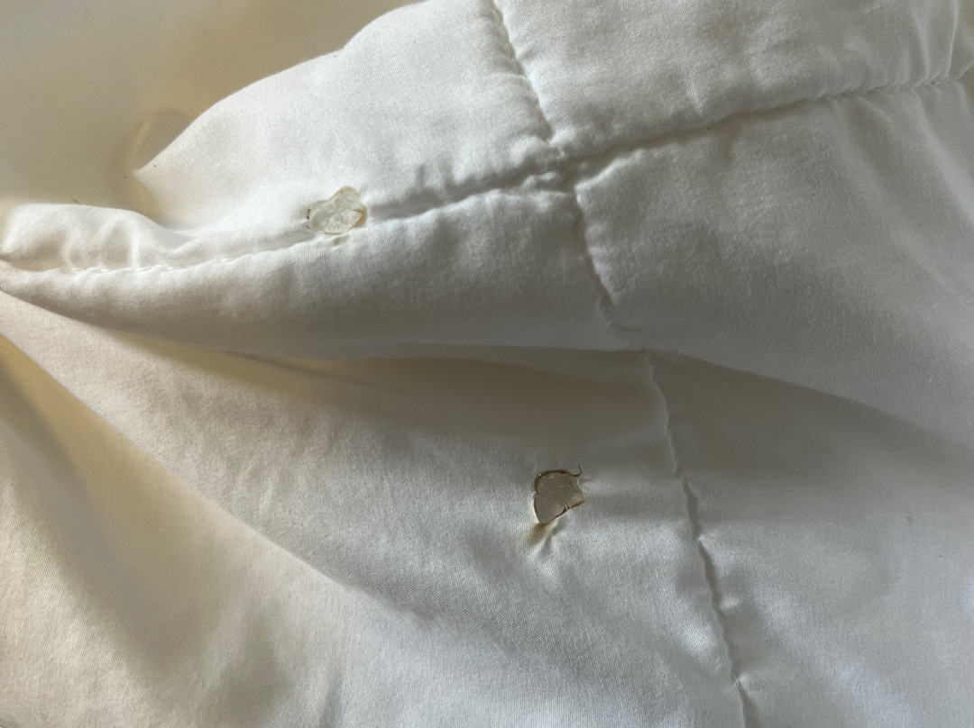 Baymont by Wyndham Hinton主图