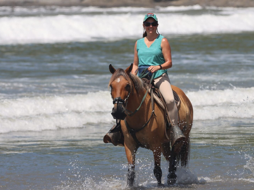 Blue Zone Equestrian景点图片