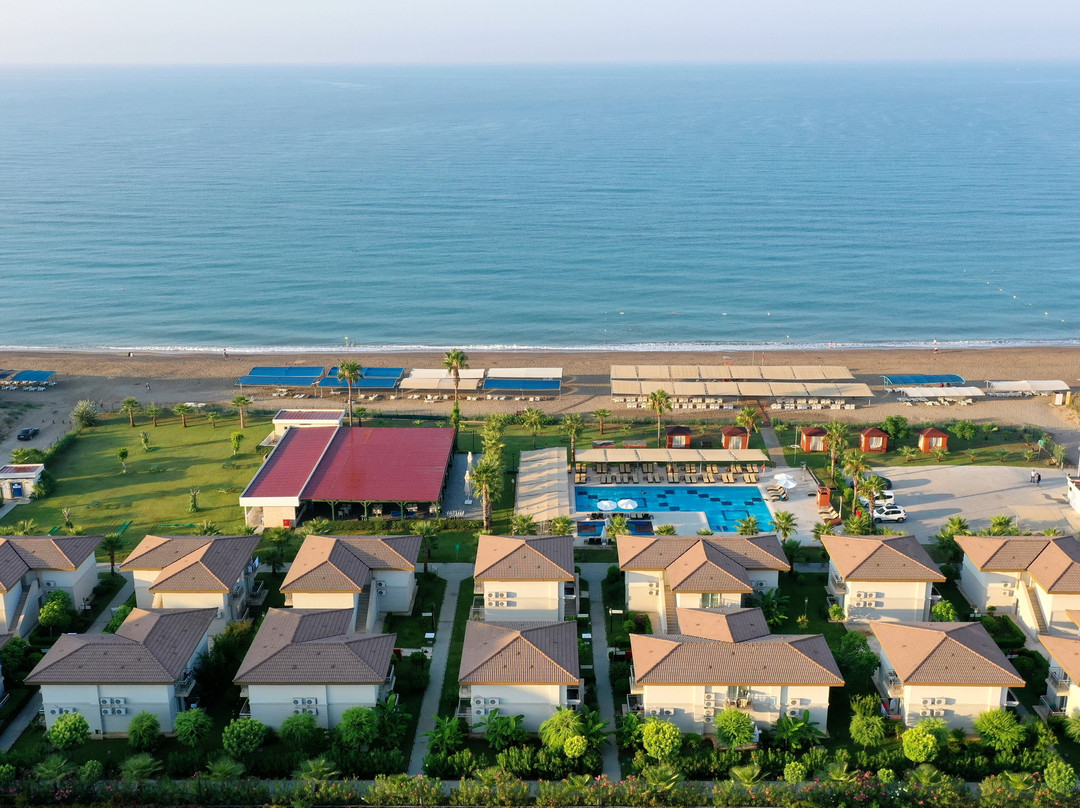 Crystal Boutique主图