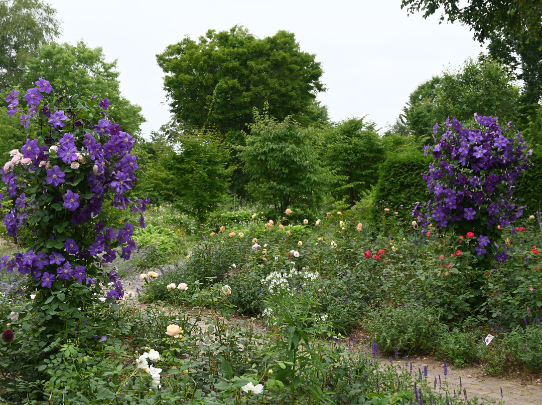 Tokachi Hills-幕别町必去景点