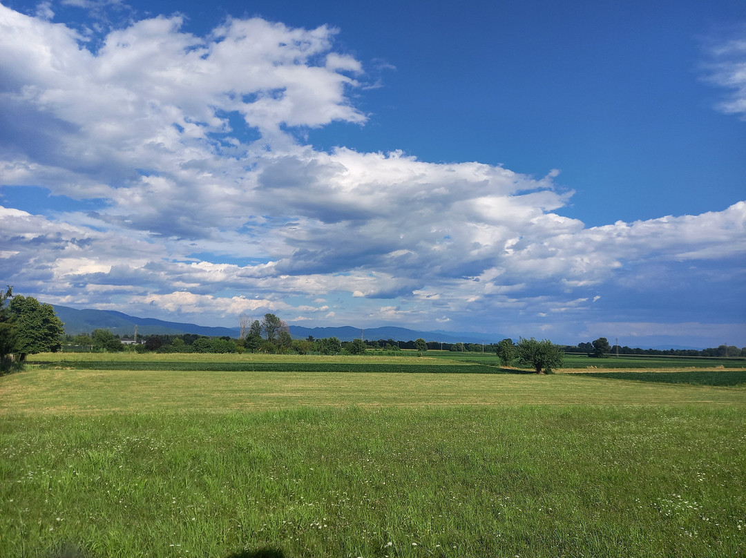 Agriturismo Cjargnei主图