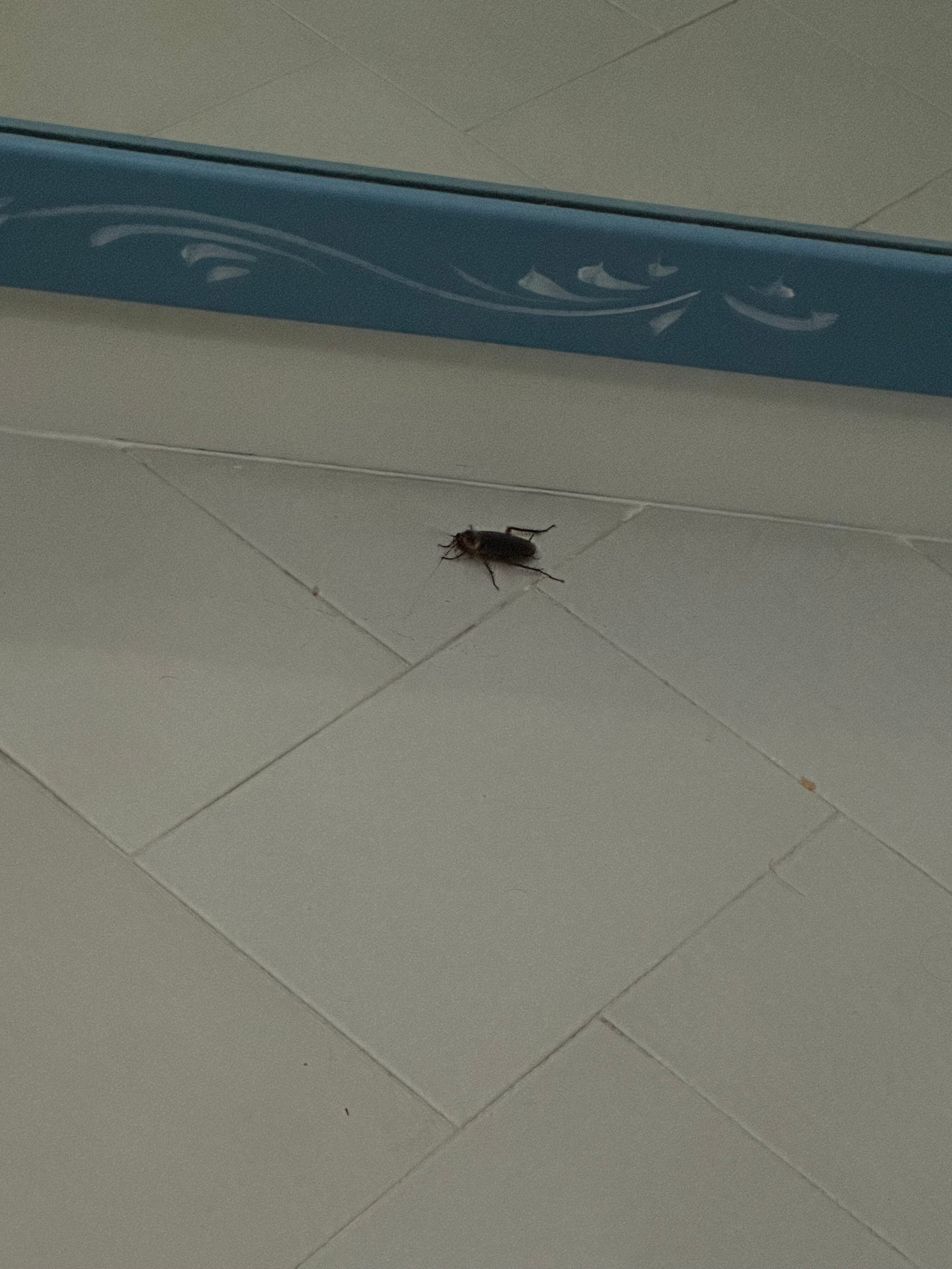 La Roccia Hotel-客卧