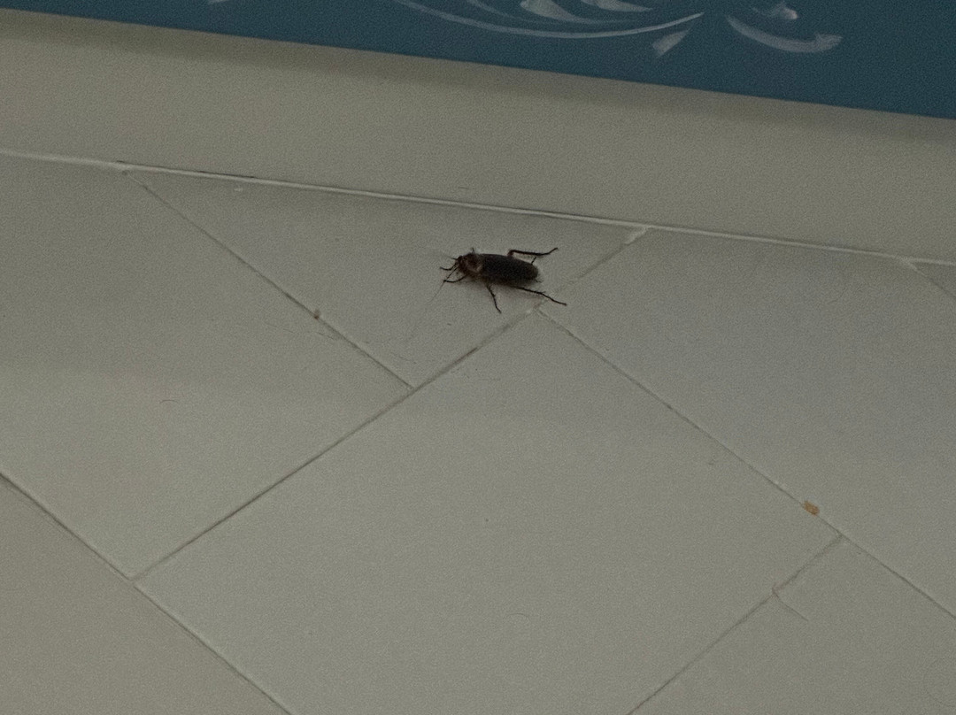 La Roccia Hotel主图