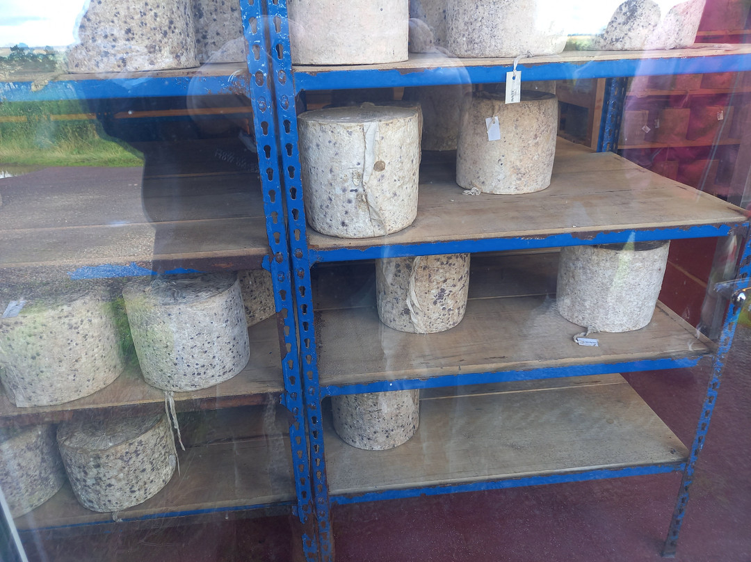 Errington Cheese景点图片