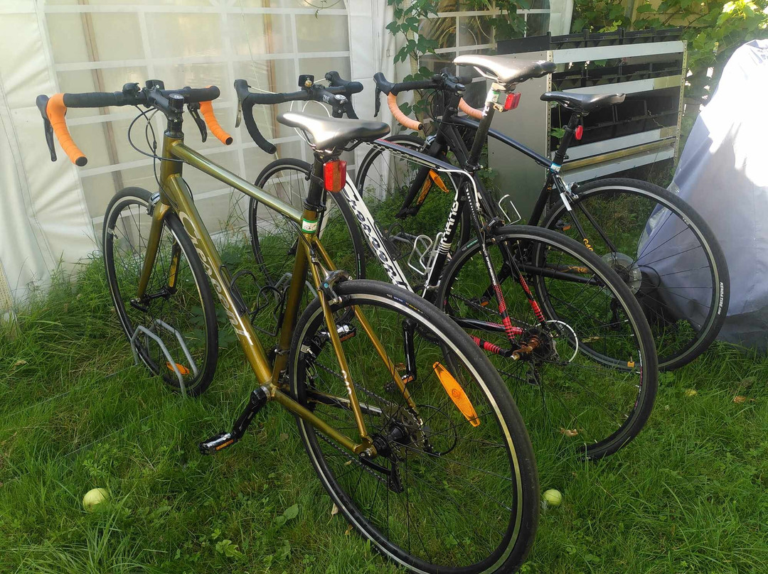 Ölands Cykeluthyrning-Borgholm必去景点