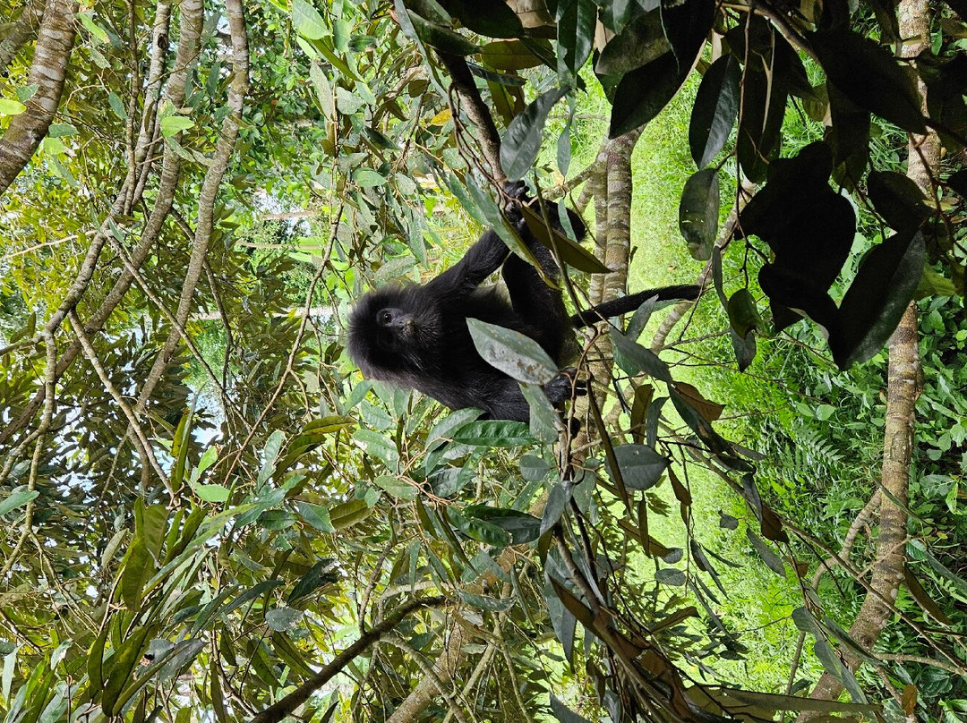 Tetebatu Sama Sama Bungalows主图