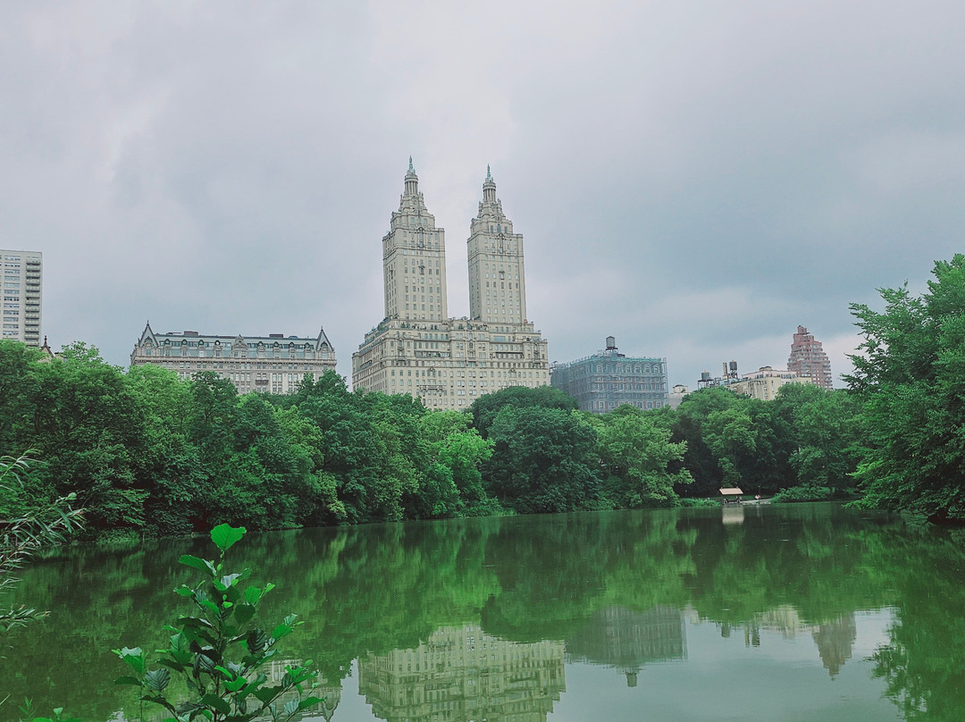 NYC Smart - Central Park pedicab tours-纽约市必去景点