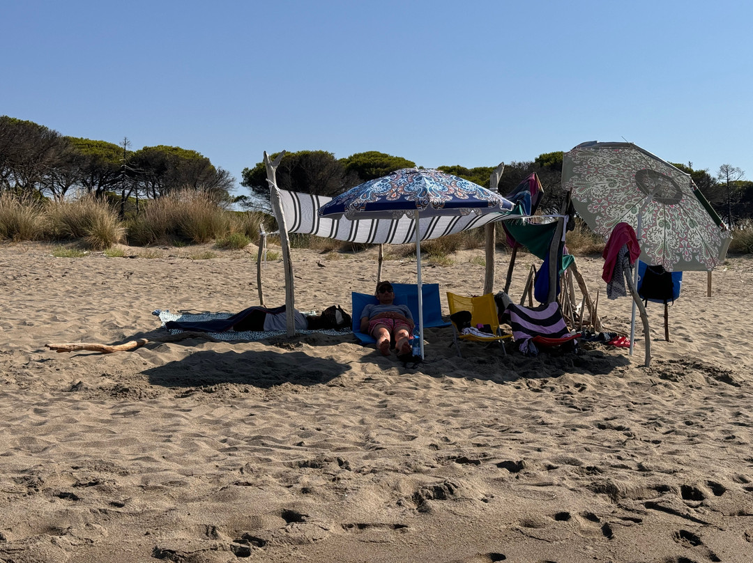 Marina di Alberese景点图片
