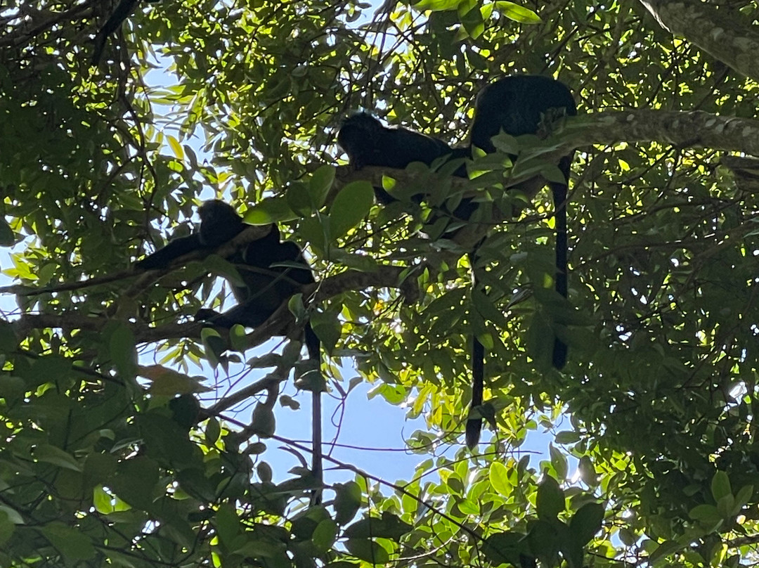 Lombok Bike Trip-Senggigi必去景点