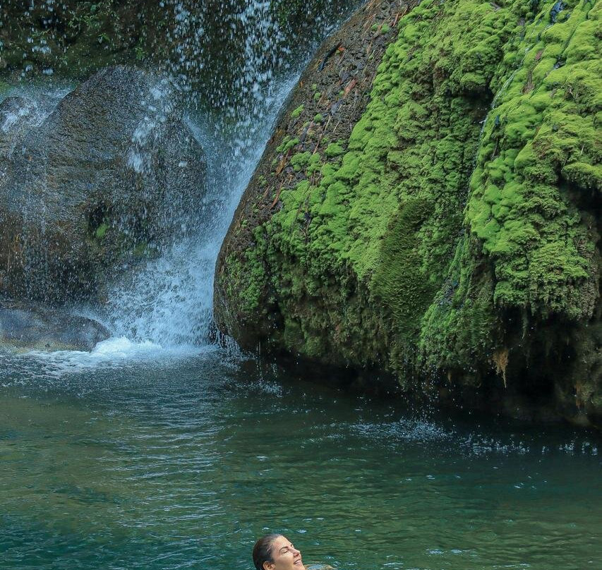 Aquario Natural景点图片