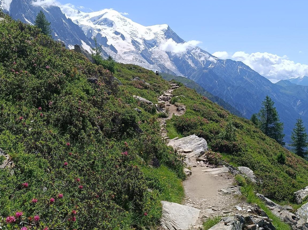 Grand Balcon Nord : Plan de l'Aiguille du Midi - Montenvers-霞慕尼必去景点