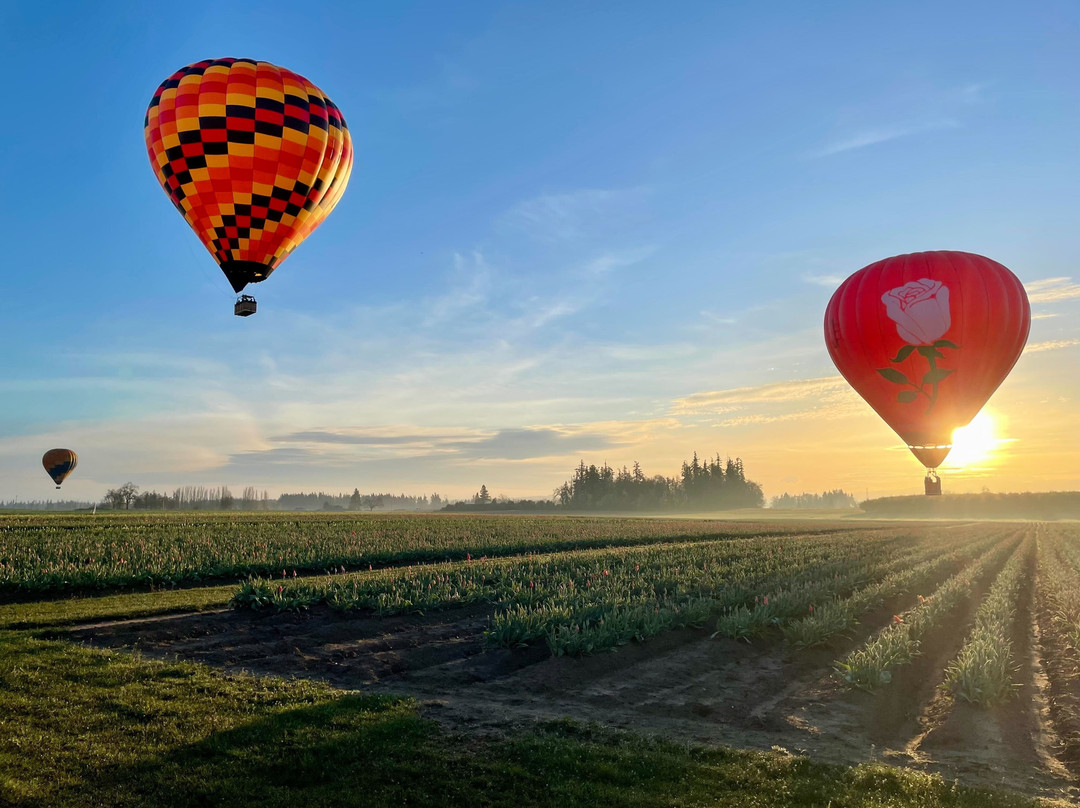 Portland Rose Hot Air Balloons-Aurora必去景点