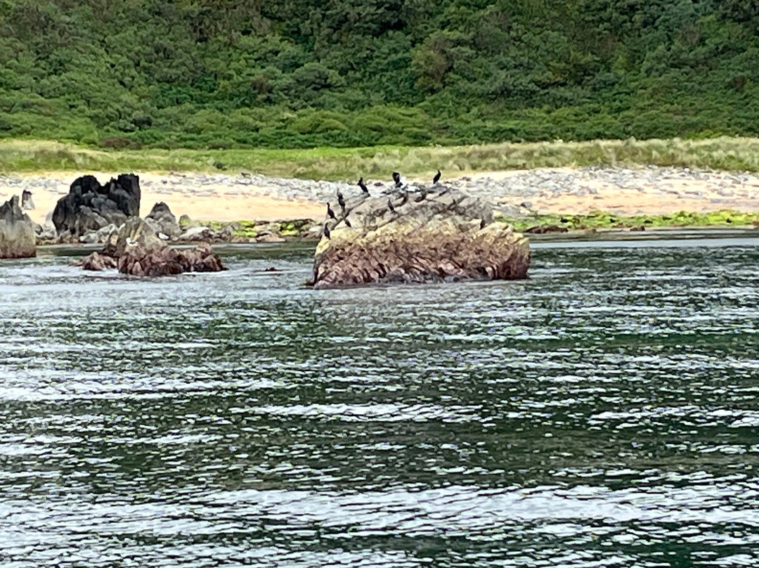 Greencastle Boat Tours景点图片
