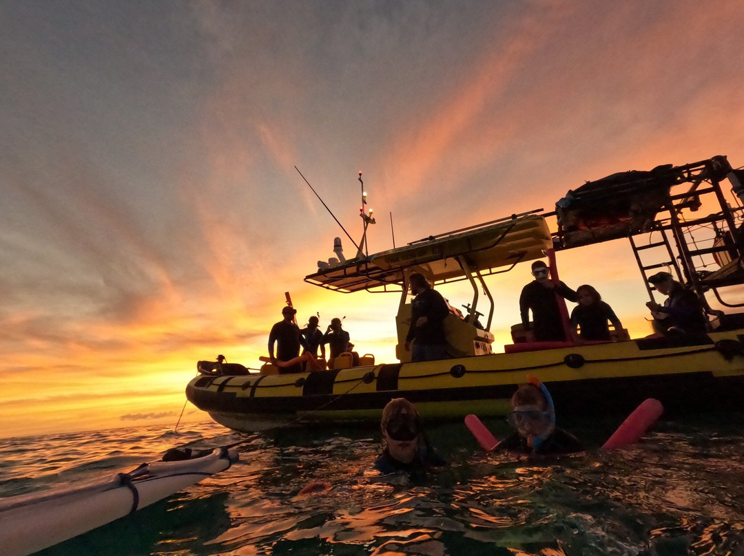 Adventure X Boat Tours