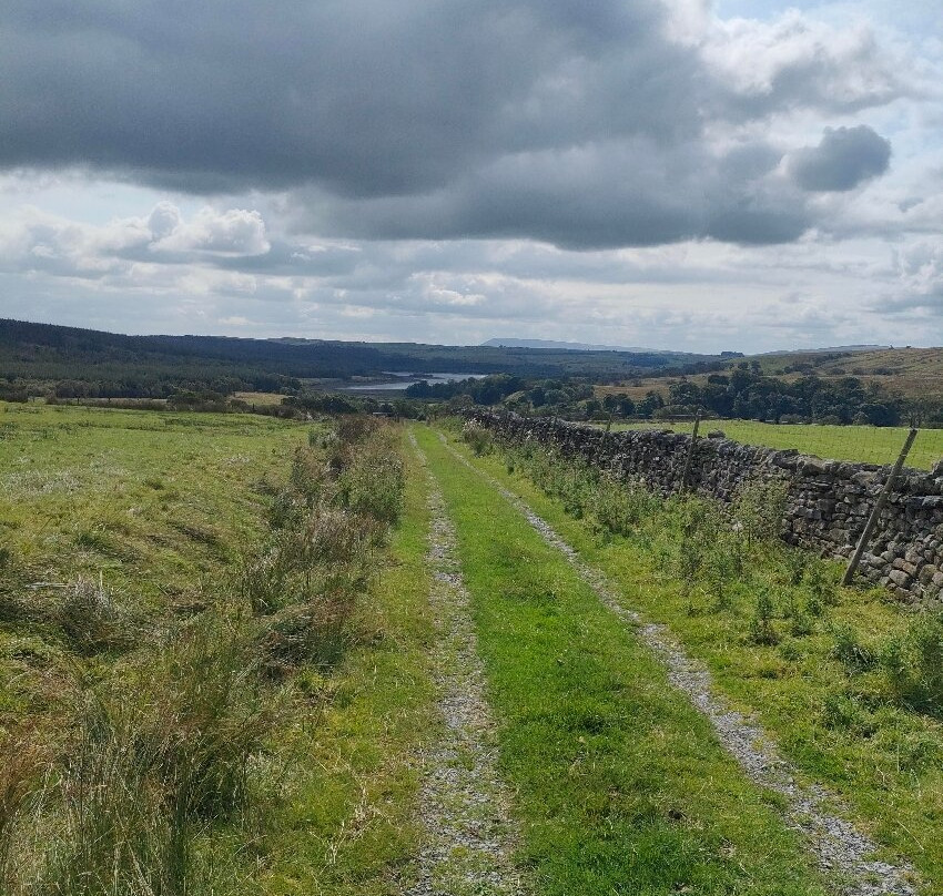 Gisburn Forest And Stocks景点图片