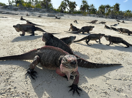 Aquadisiac Adventures-大埃克苏马必去景点