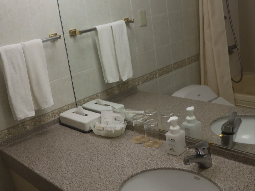 成田国际花园酒店主图