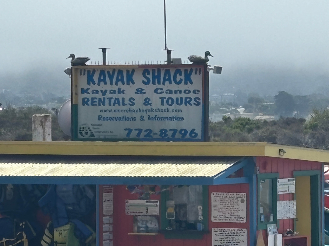 Kayak Shack景点图片