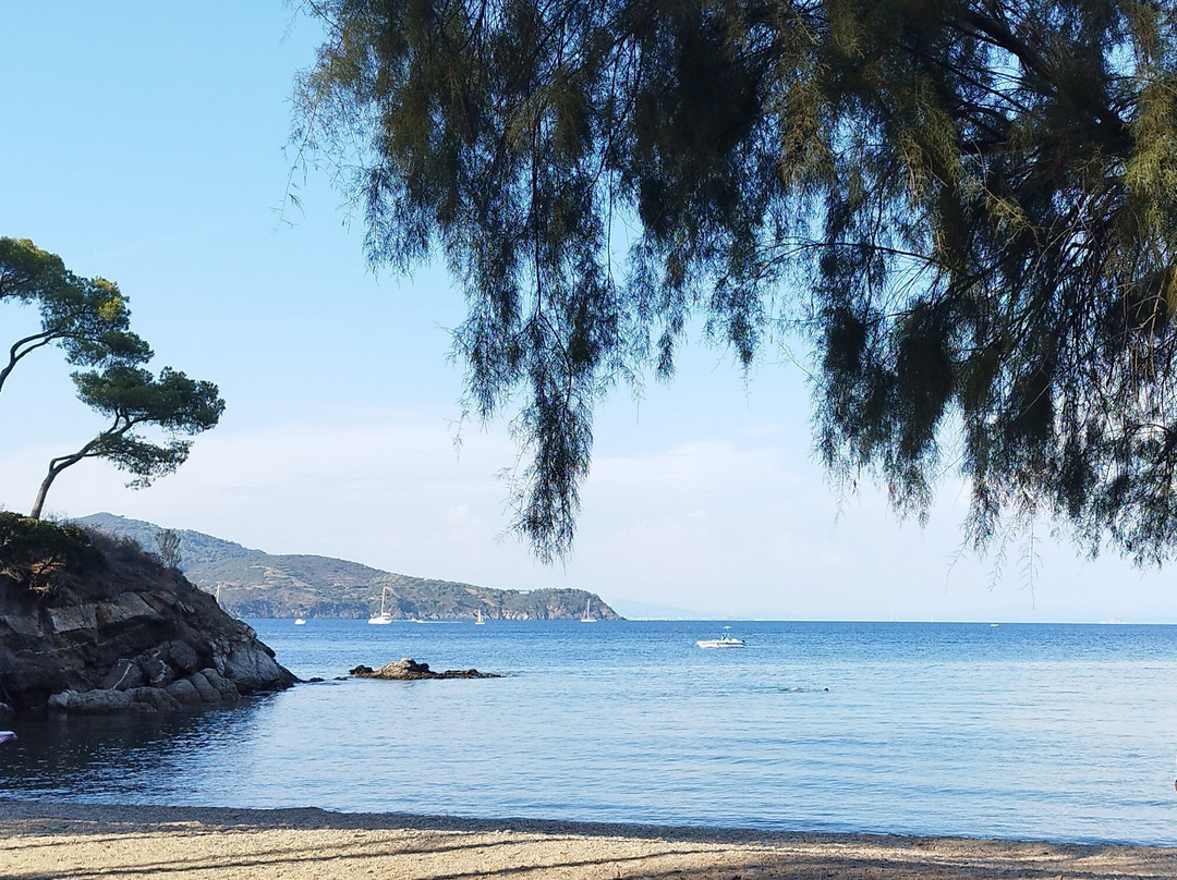 Spiaggia Calanova景点图片