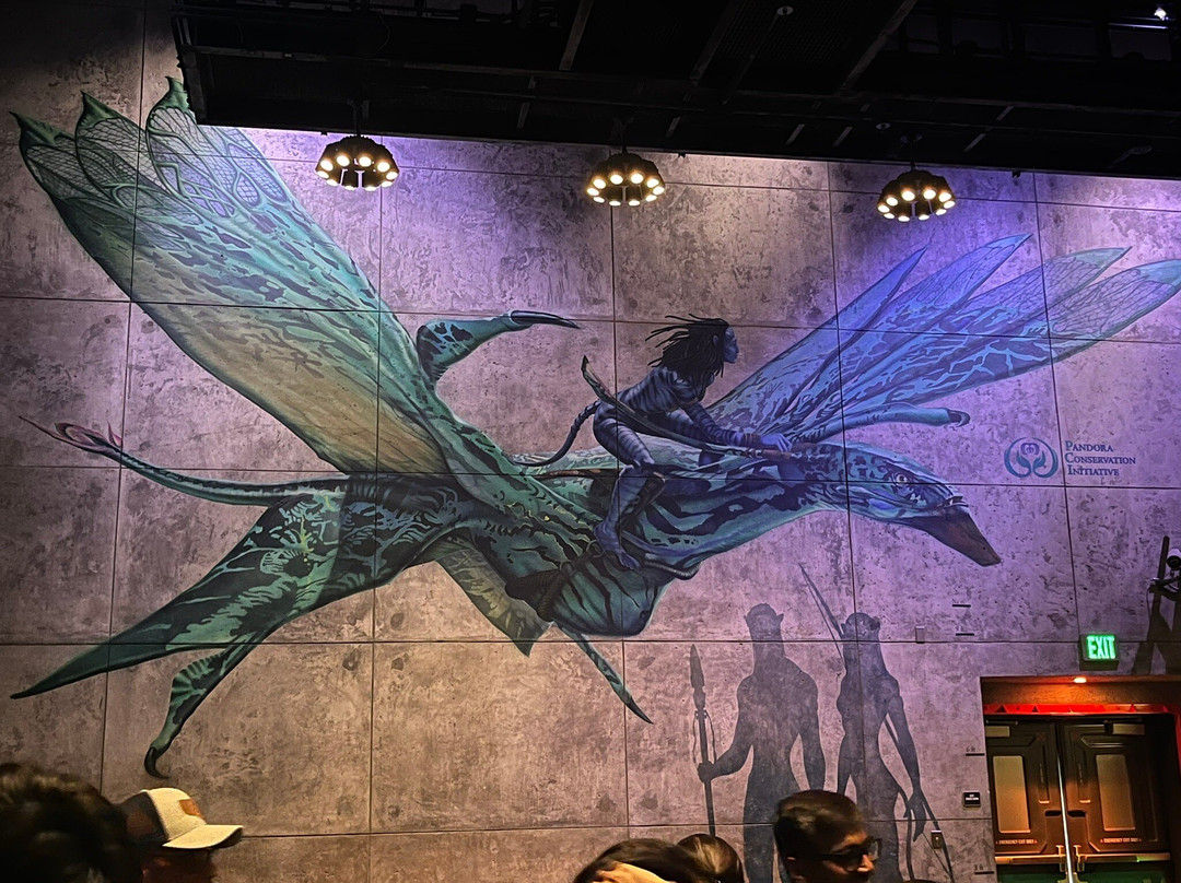 Avatar Flight of Passage-Lake Buena Vista必去景点