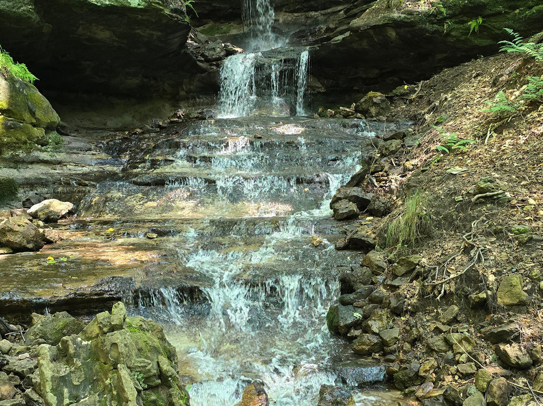 Horseshoe Falls-缪尼辛必去景点