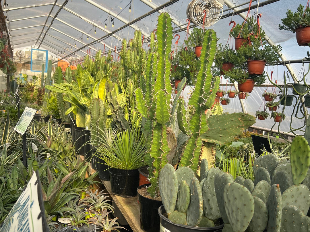 Groovy Plants Ranch景点图片