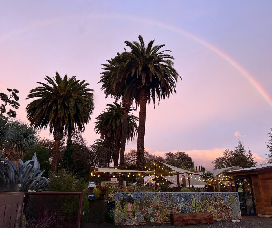 The Ruth Bancroft Garden-核桃溪必去景点