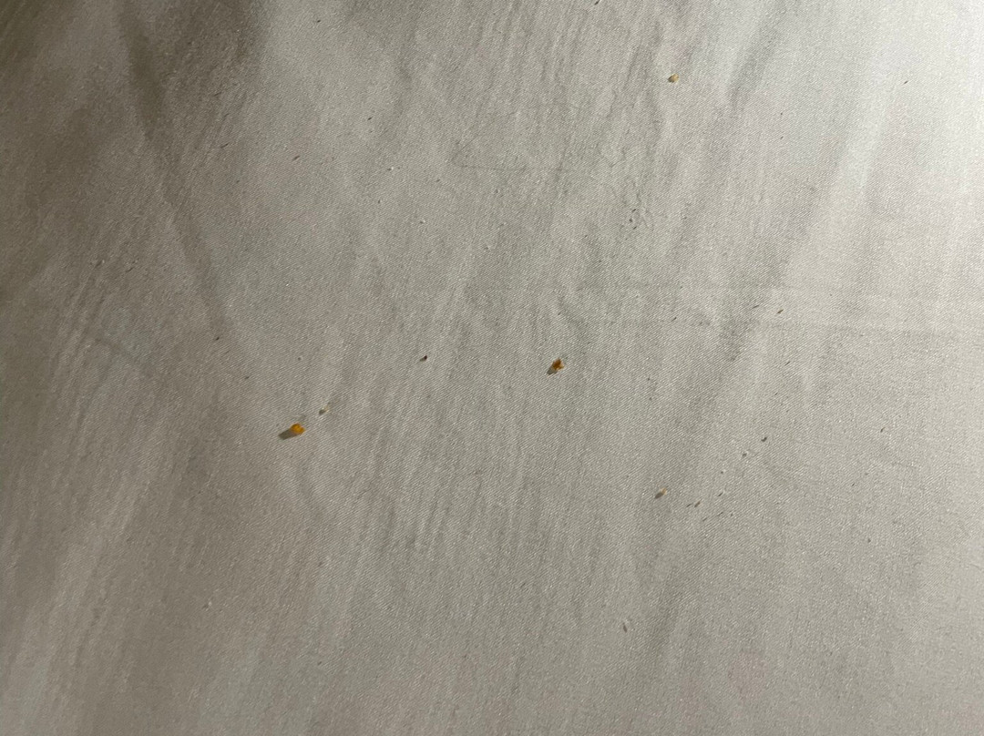 Aviator Hotel & Suites South I-55主图