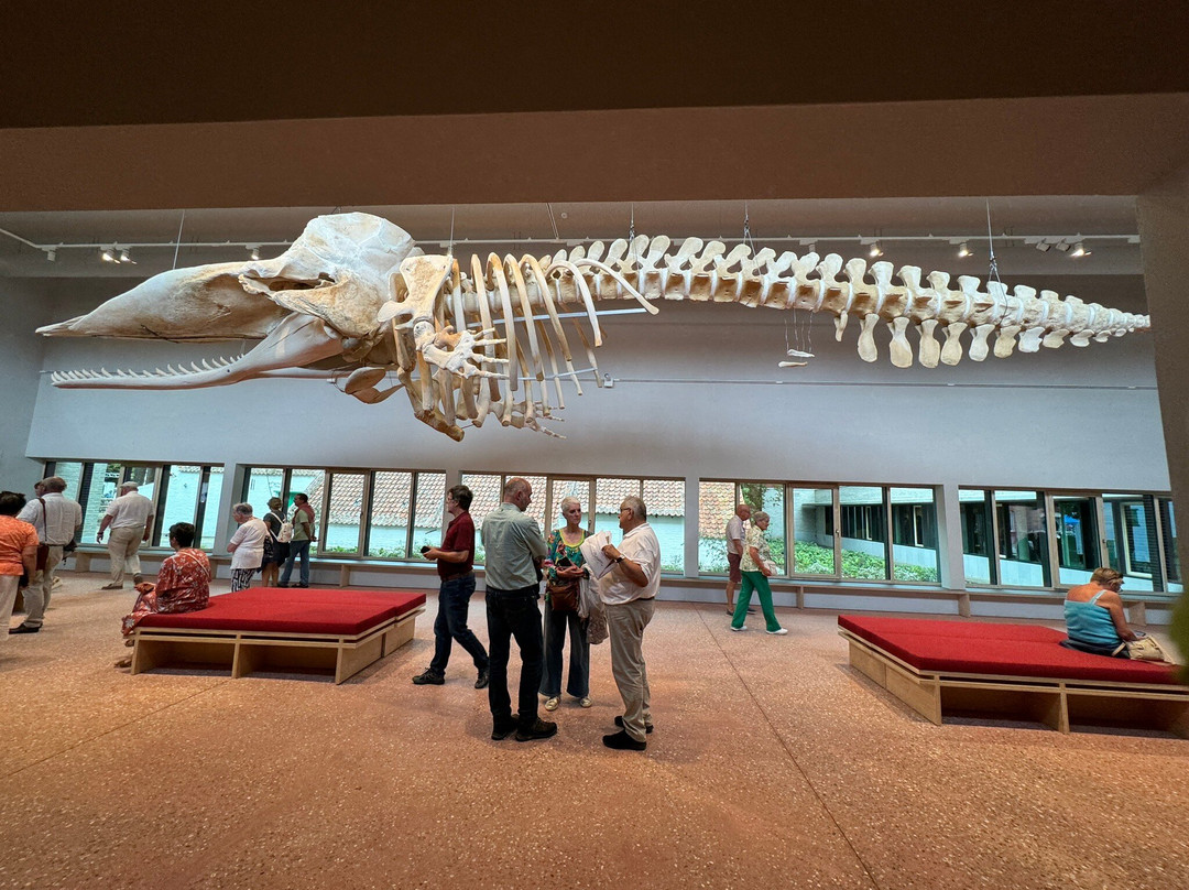NAVIGO - National Fisheries Museum-东代恩凯尔克必去景点