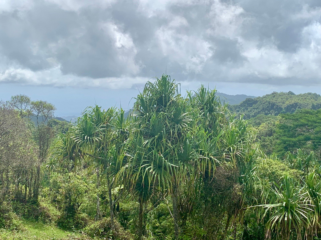 Vaimo'u Excursion